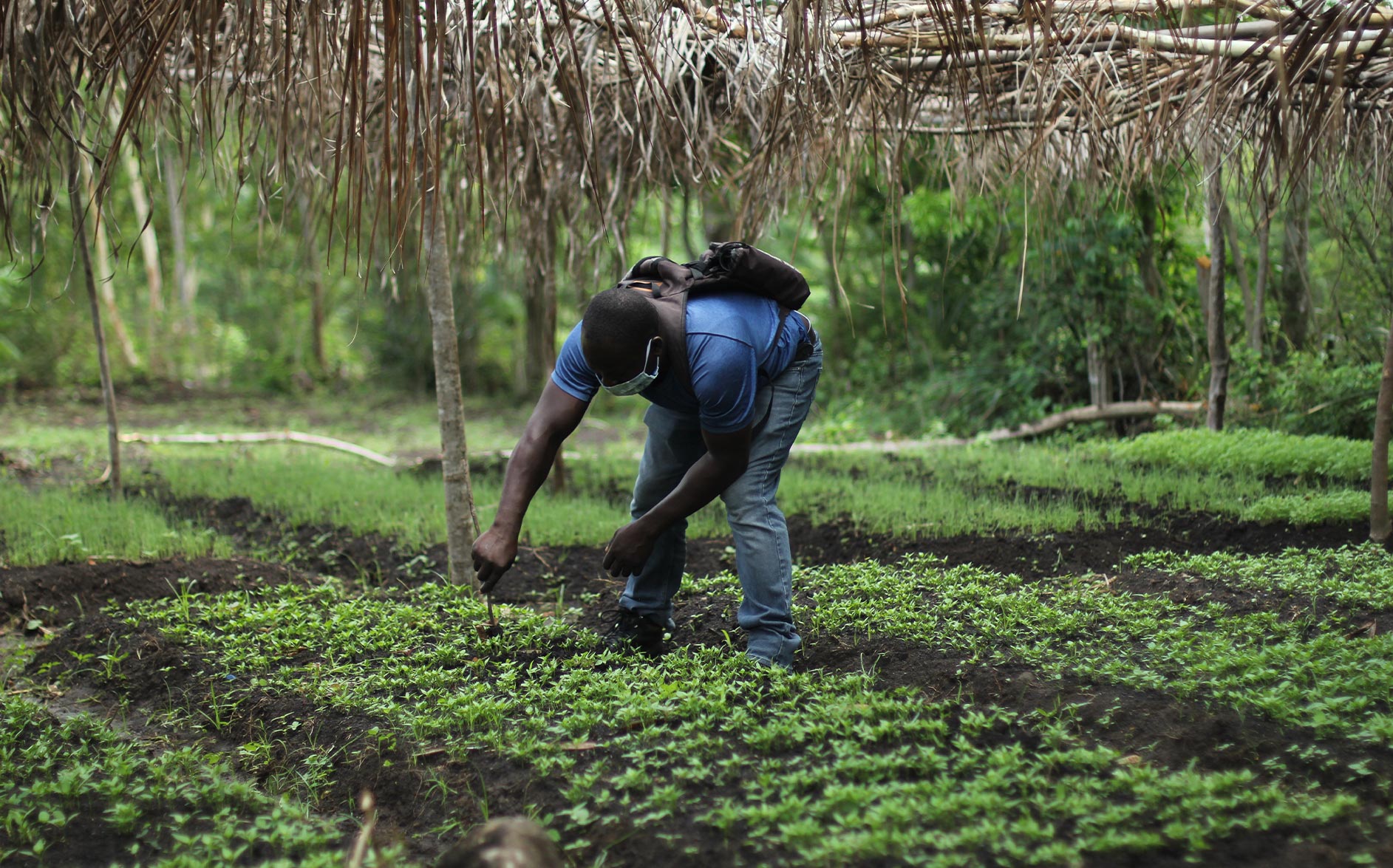 agriculture